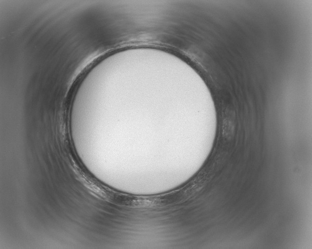 X0000059231458200511111535