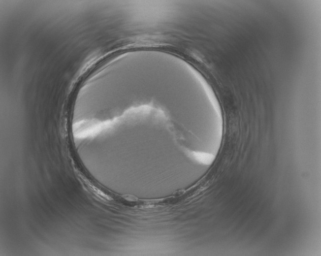 X0000059231459200511111535