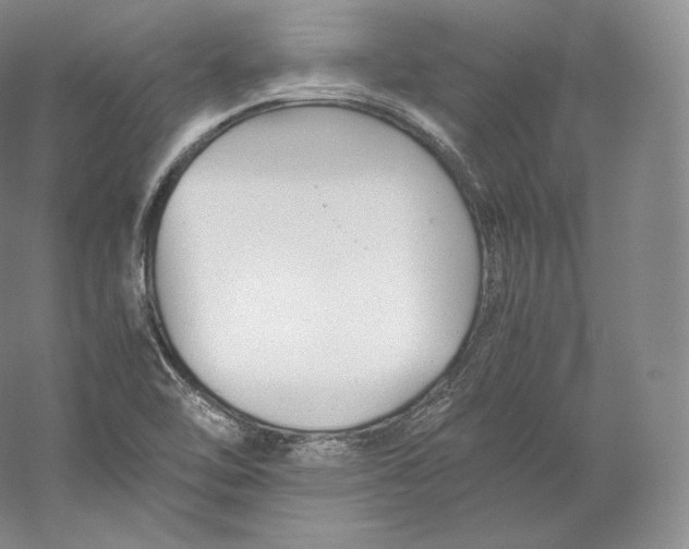 X0000059231462200511111535