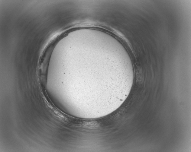 X0000059231464200511111535