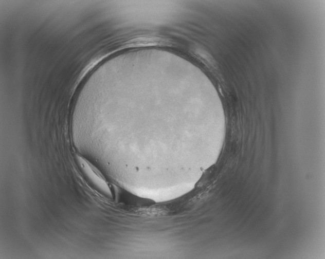 X0000059231465200511111535