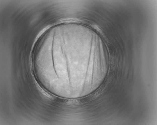 X0000059231466200511111535