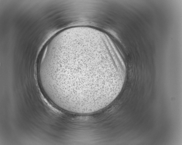 X0000059231468200511111535