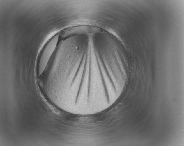 X0000059231469200511111535