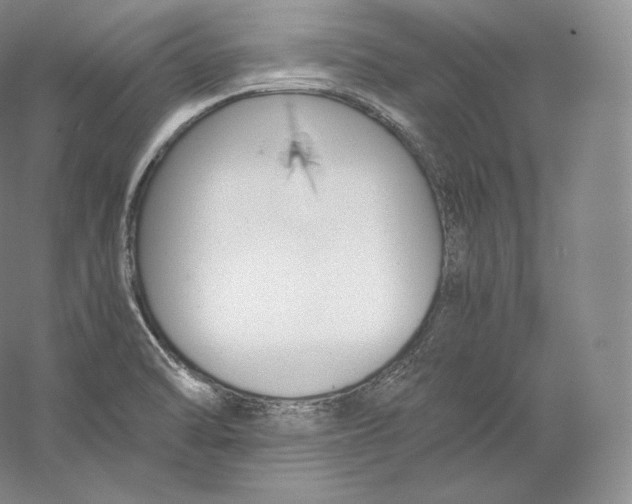 X0000059231470200511111535