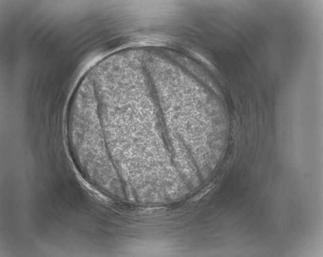 X0000059231471200511111535