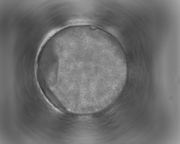 X0000059231472200511111535