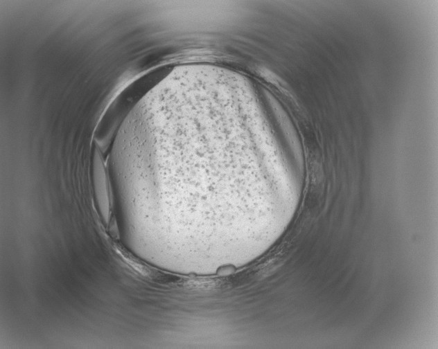 X0000059231473200511111535