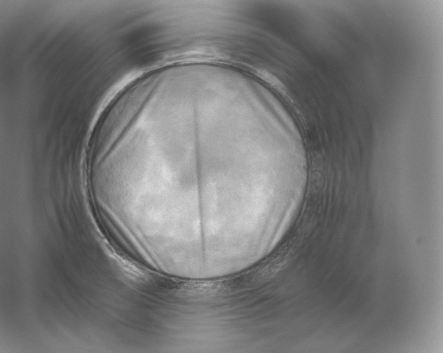 X0000059231474200511111535