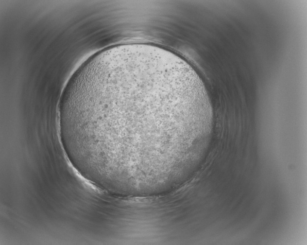 X0000059231476200511111535