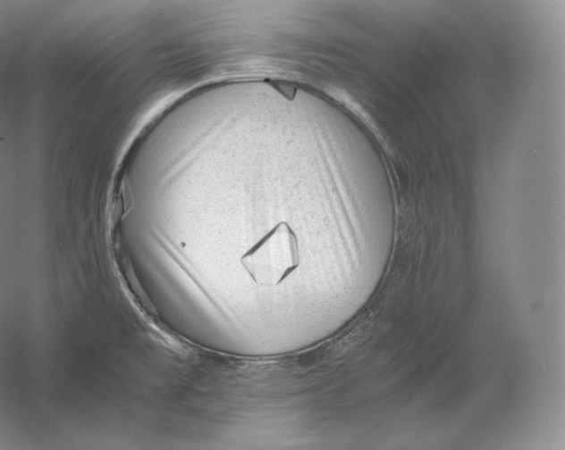 X0000059231477200511111535