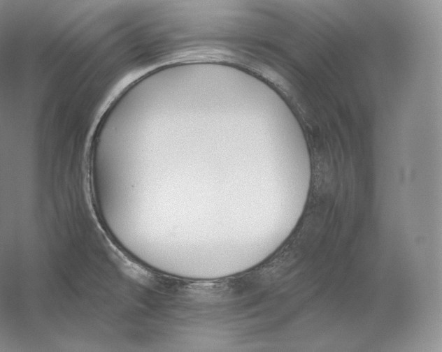 X0000059231478200511111535