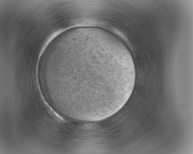 X0000059231480200511111535