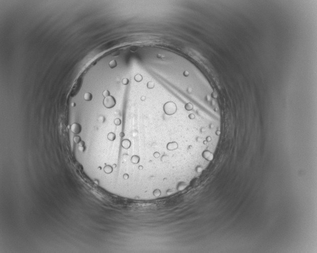 X0000059231481200511111535