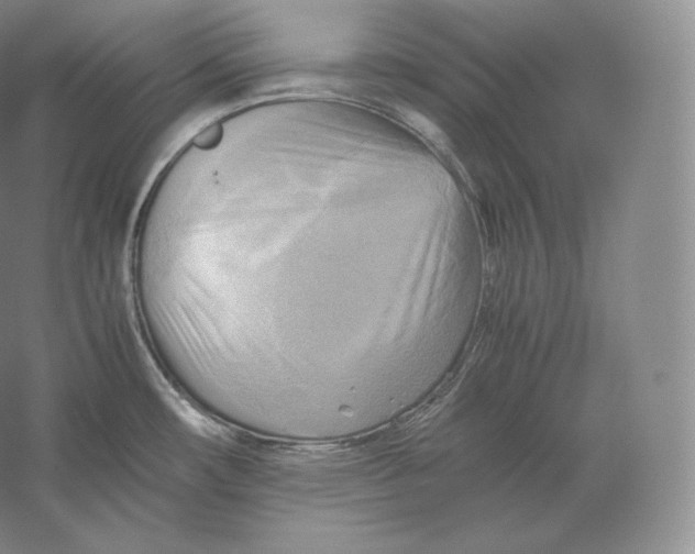 X0000059231482200511111535