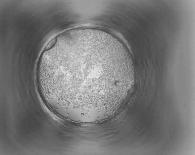 X0000059231483200511111535