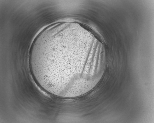 X0000059231484200511111535