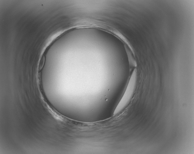 X0000059231485200511111535