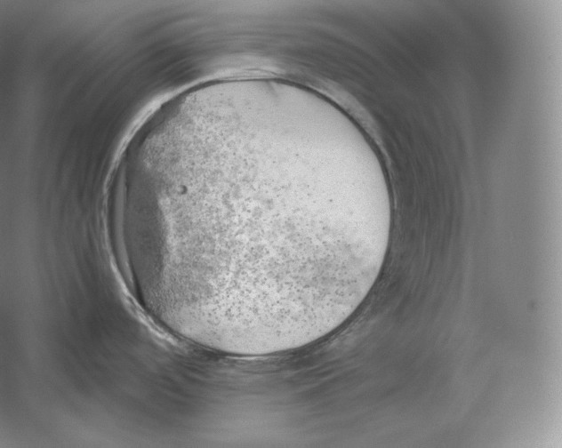 X0000059231488200511111535