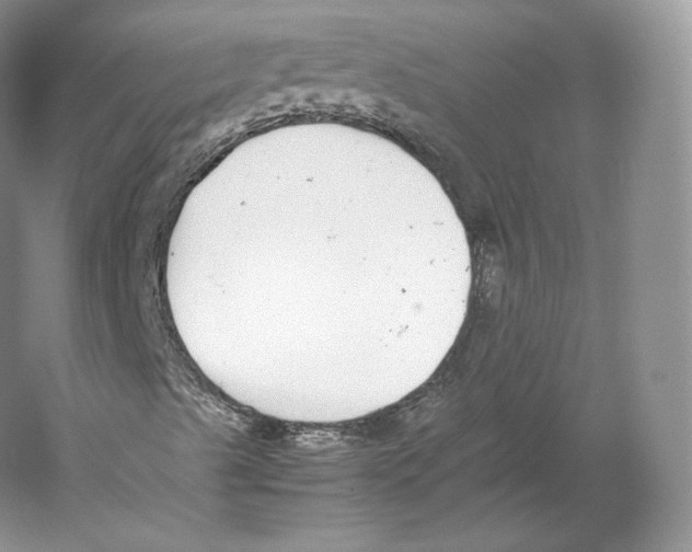 X0000059231489200511111534