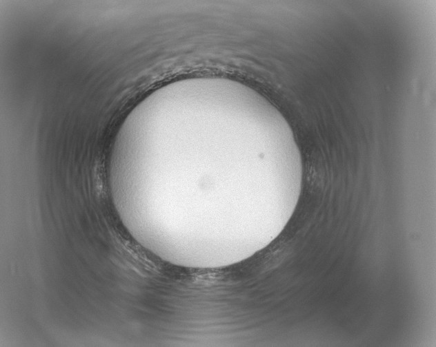 X0000059231490200511111534