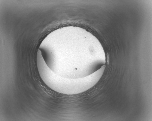 X0000059231492200511111534