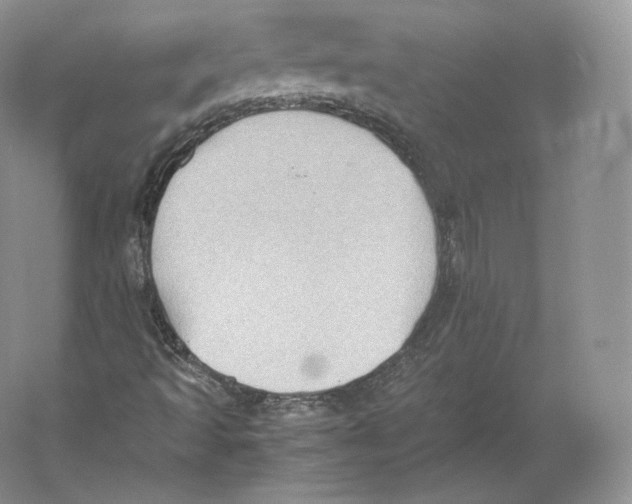 X0000059231493200511111534