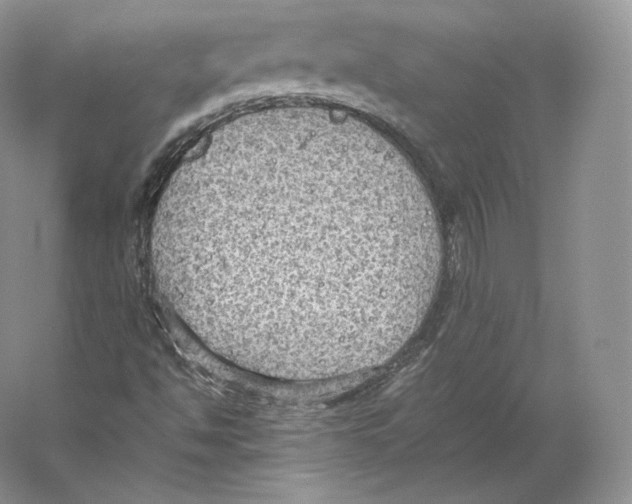 X0000059231494200511111534