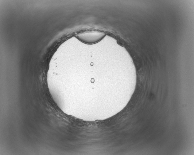 X0000059231495200511111534