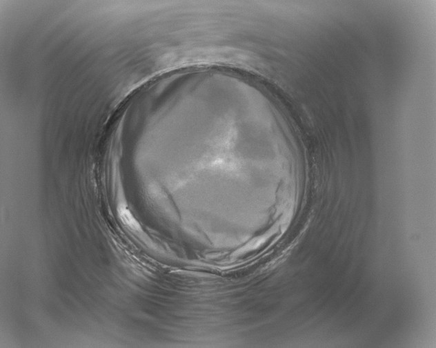 X0000059231497200511111534