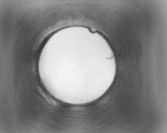 X0000059231499200511111534