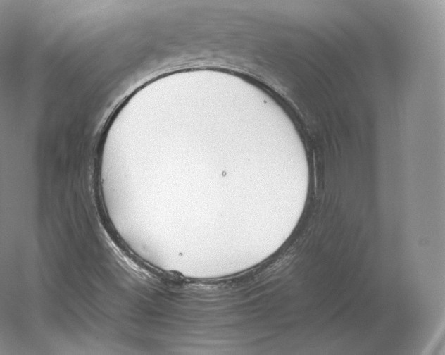 X0000059231500200511111534