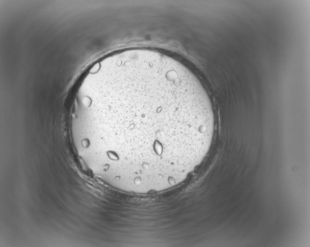 X0000059231501200511111534