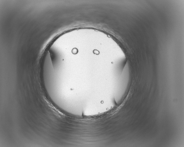 X0000059231502200511111534