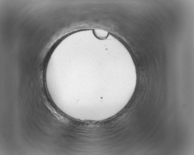 X0000059231503200511111534