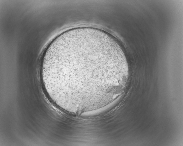 X0000059231504200511111534