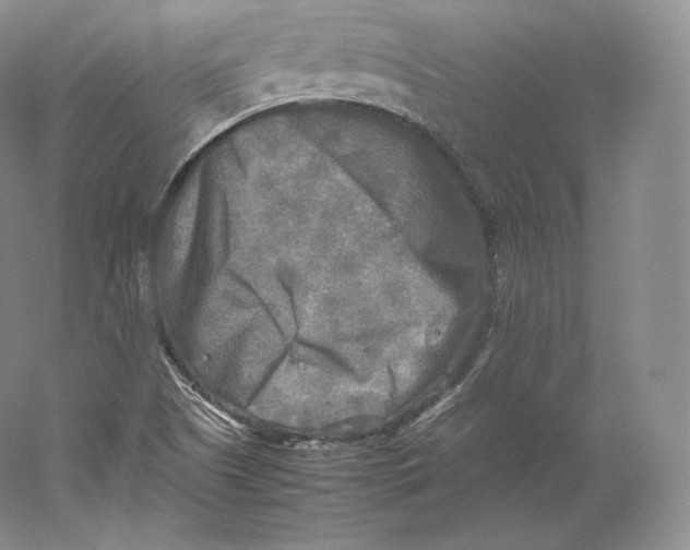 X0000059231505200511111534