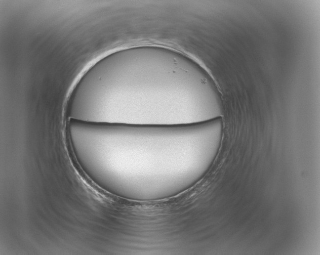 X0000059231508200511111534