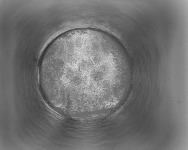 X0000059231509200511111534