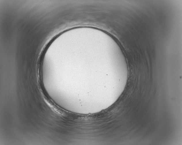 X0000059231511200511111534