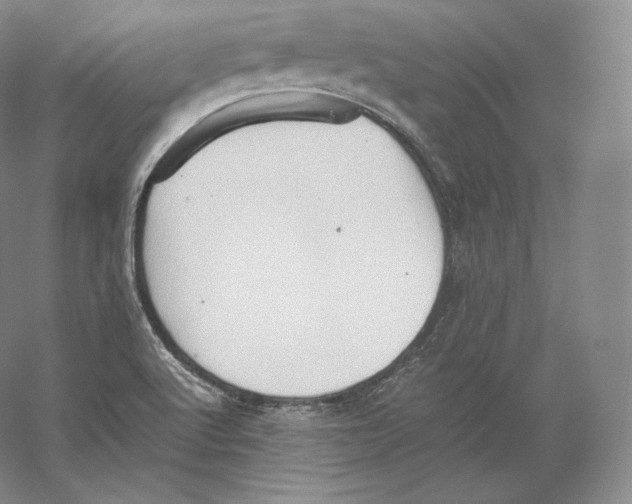 X0000059231512200511111534