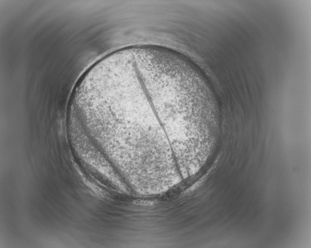 X0000059231513200511111534