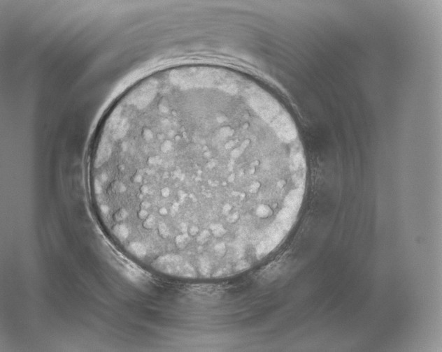 X0000059231514200511111534