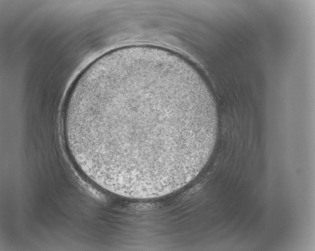 X0000059231517200511111535