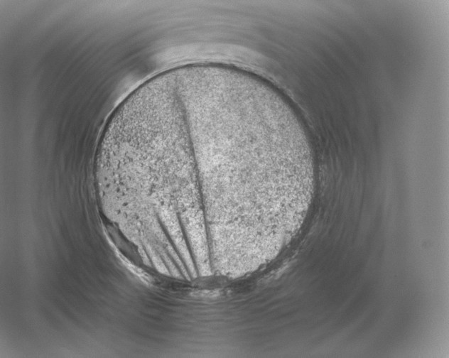 X0000059231521200511111535