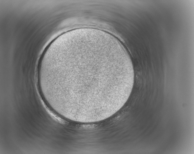 X0000059231523200511111535