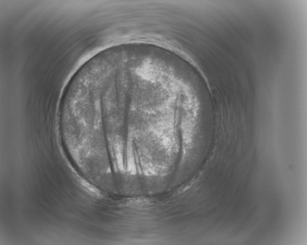 X0000059231525200511111535