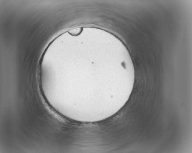 X0000059231526200511111535