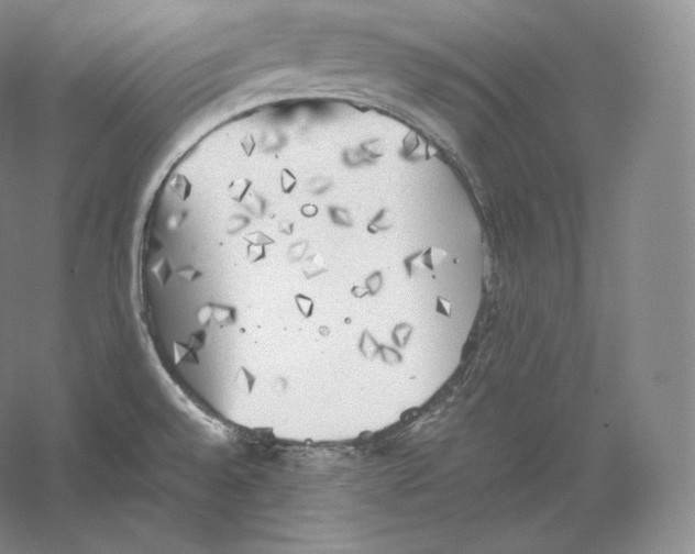 X0000059231528200511111535