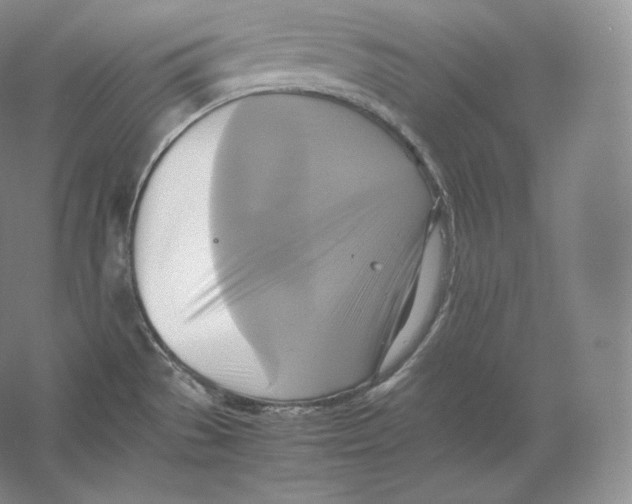 X0000059231529200511111535